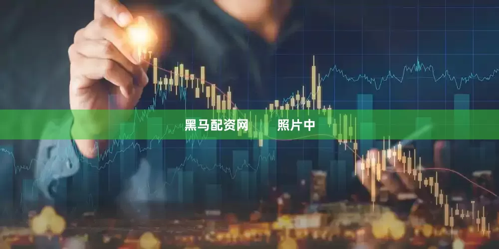 黑马配资网        照片中