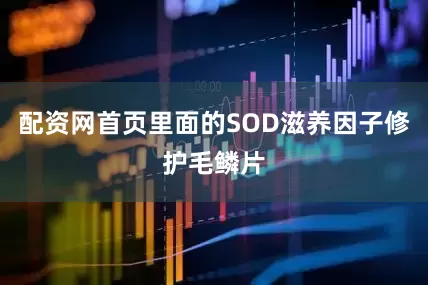 配资网首页里面的SOD滋养因子修护毛鳞片