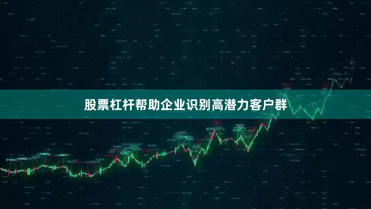 股票杠杆帮助企业识别高潜力客户群