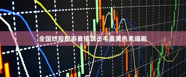 全国炒股配资直接攻击毛囊黑色素细胞