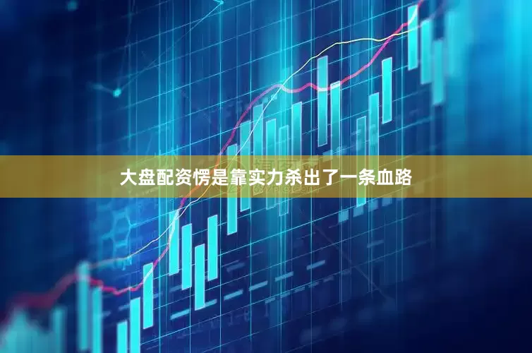 大盘配资愣是靠实力杀出了一条血路
